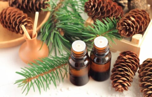 Huiles essentielles : 6 indispensables de l’automne