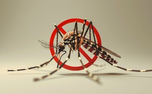 Guide complet pour la prévention des piqûres de moustiques