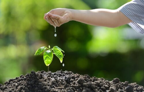 50 gestes écologiques pour protéger notre environnement