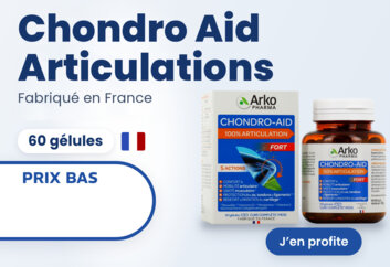 Prix bas Chondro aid articulations Arkopharma