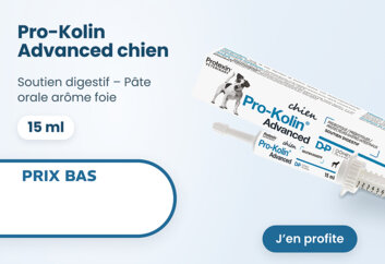 Prix bas Pro Kolin Advanced Chien