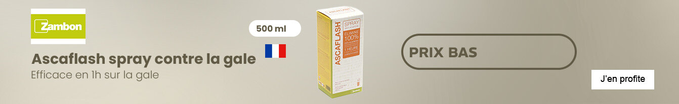 Prix bas Ascaflash spray contre la gale