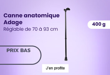 Mea Canne anatomique Adage