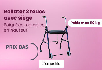 Prix bas Rollator 2 roues