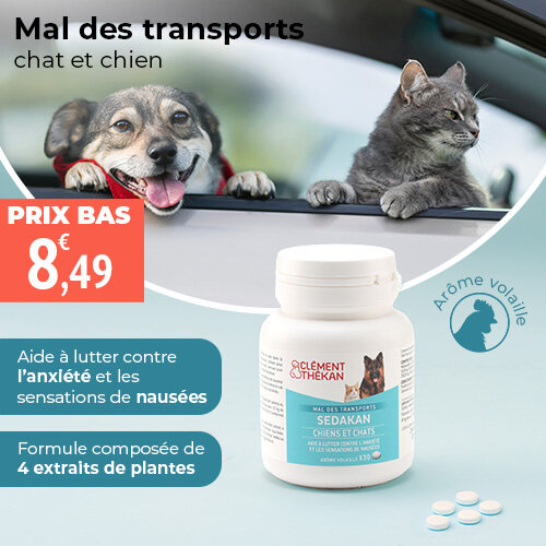 Prix bas Sedakan Clement Thekan Mal des transports