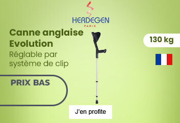 Prix bas canne anglaise Evolution Herdegen