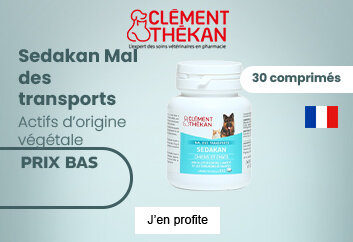Prix bas Sedakan Clement Thekan Mal des transports