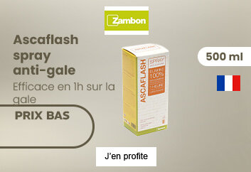 Prix bas Ascaflash spray contre la gale