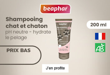 Prix bas Beaphar Shampooing chat et chaton