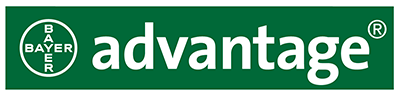 Advantage