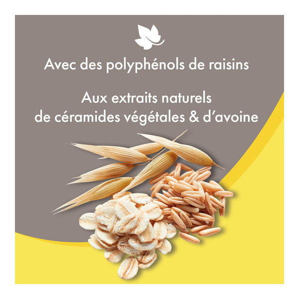 Beaphar Shampooing démêlant poils longs pour chien