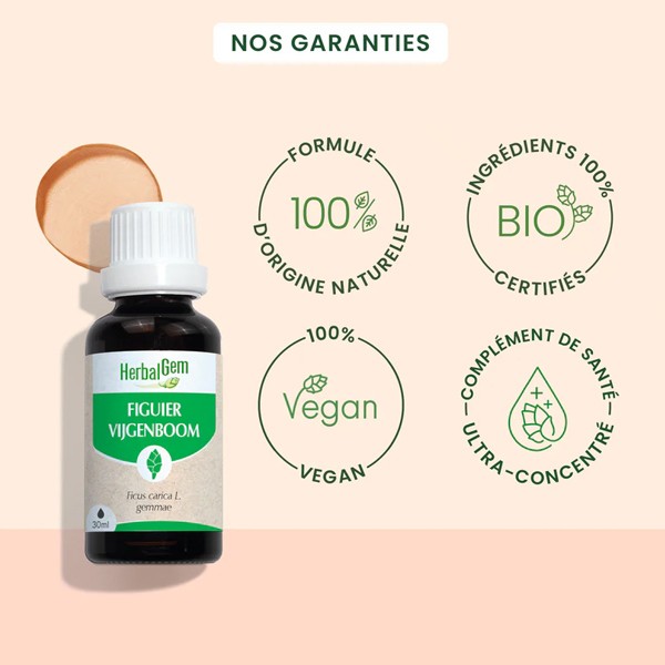 HerbalGem Figuier Concentré de bourgeons frais bio