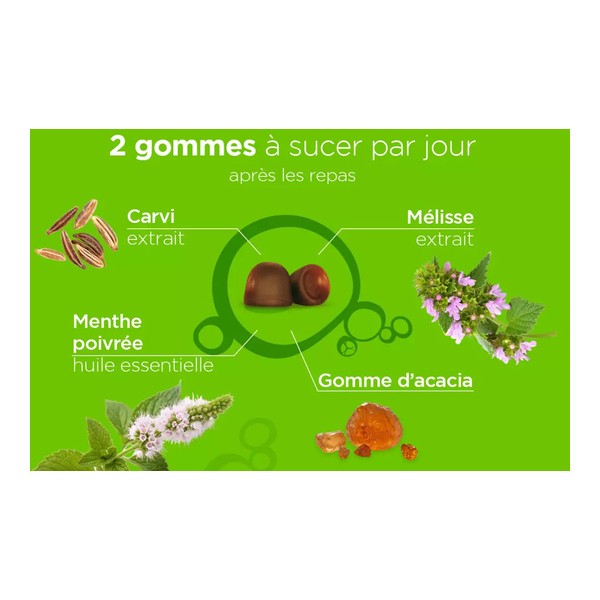 Lehning Pâte suisse Digestion gommes