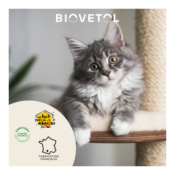 Probiotique chat et chaton Regul Transit Biovetol comprimés