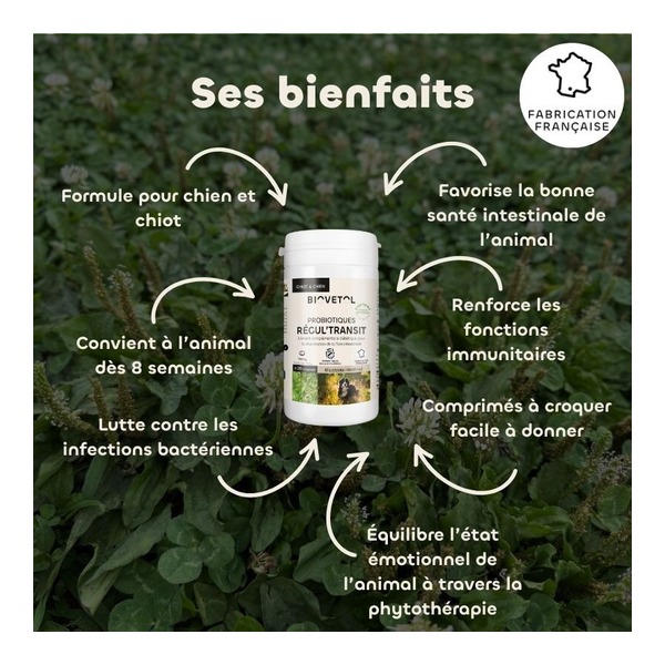 Probiotique chien et chiot Biovetol Régul Transit comprimés