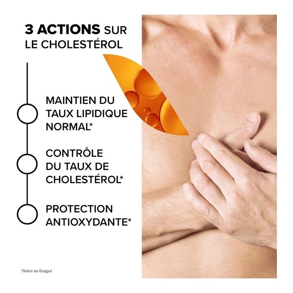 Arkogélules Cholestérol gélules