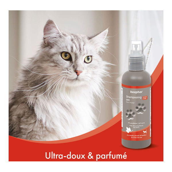 Beaphar Shampooing sec pour chat
