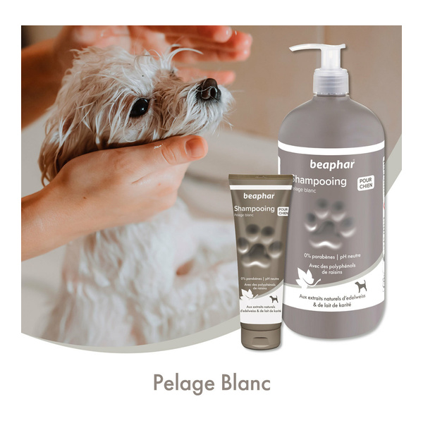 Beahphar Shampooing pelage blanc pour chien