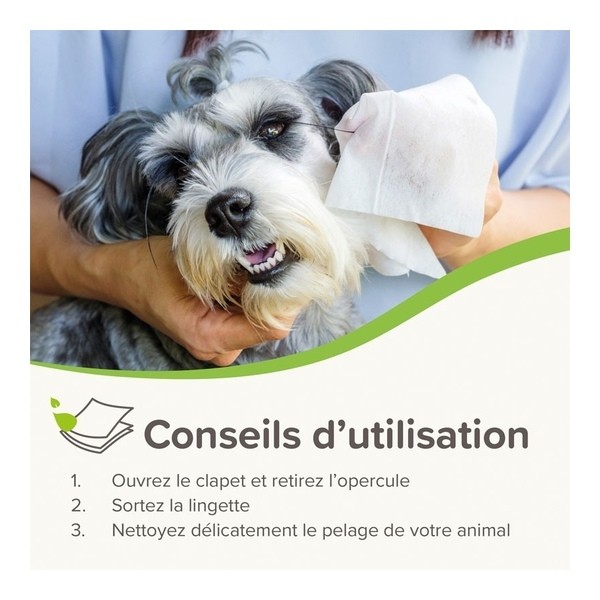 Beaphar Lingettes nettoyantes pour Chien et Chat