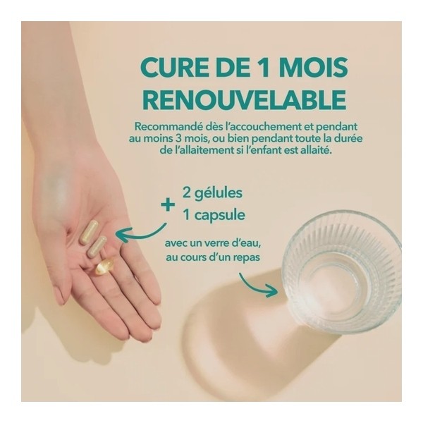 Babynat Maternité Post Partum gélules + capsules