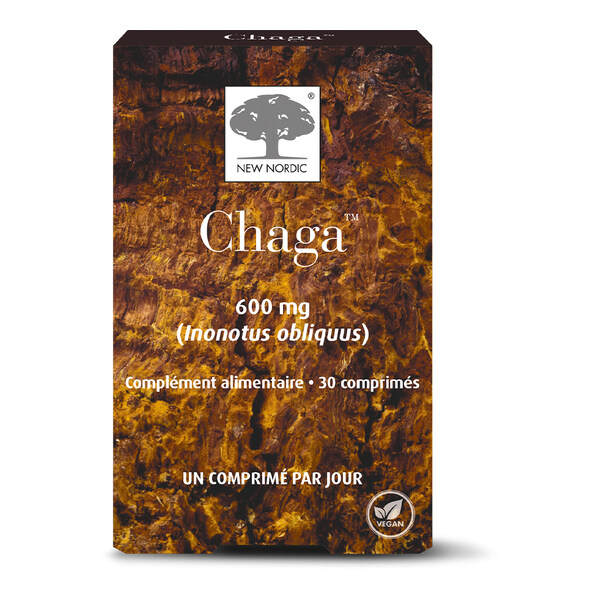 Chaga 600 mg comprimés
