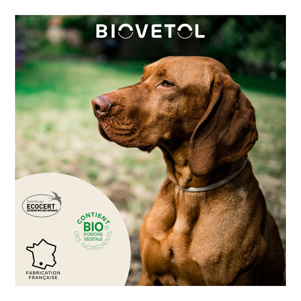 Pipette antiparasitaire chien Biovetol Bio
