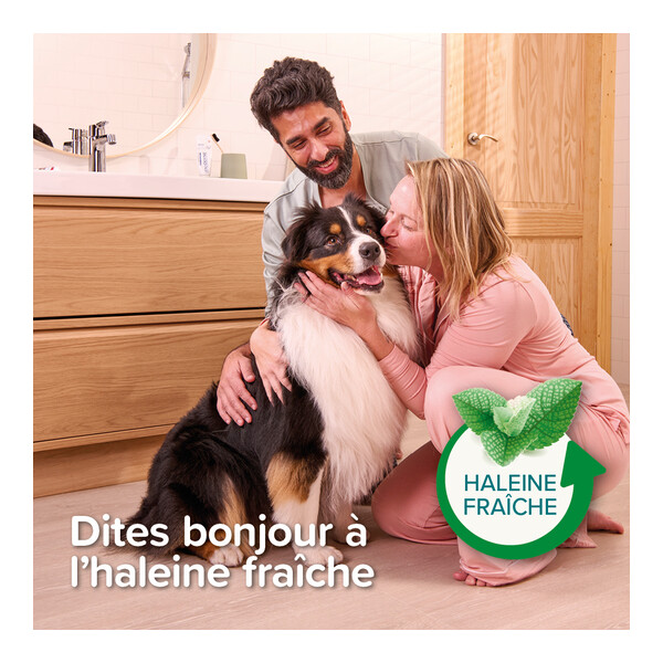 Beaphar Dentifrice chien chat Haleine fraiche