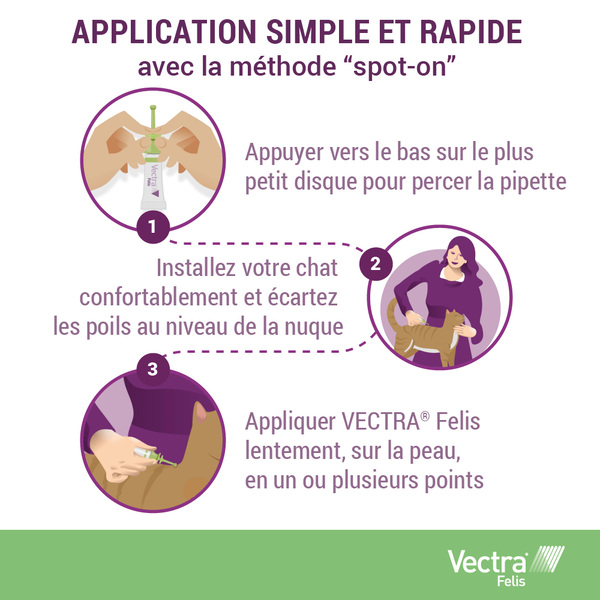 Vectra Felis Pipettes anti puces chat