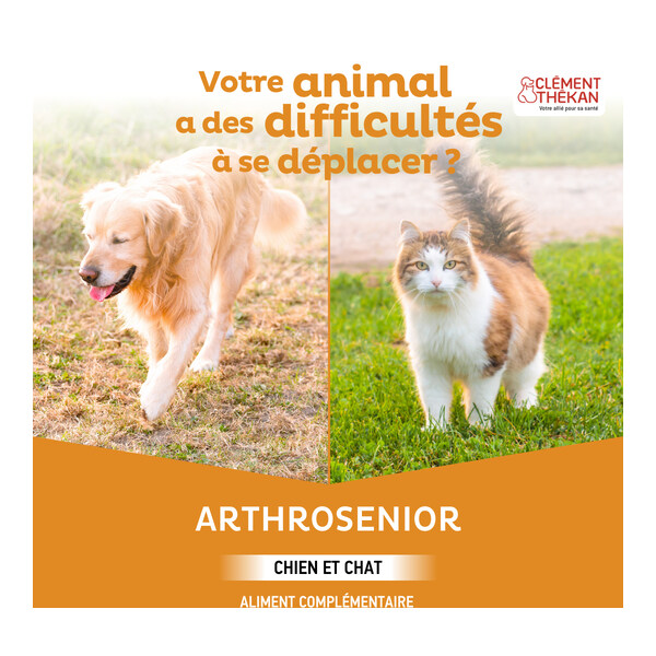 Clément Thékan Arthrosenior chien et chat comprimés