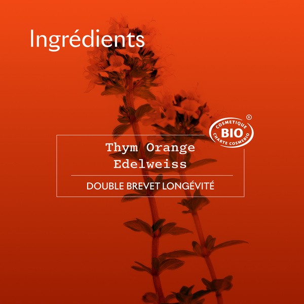 Sanoflore Reine Baume Anti âge Global bio