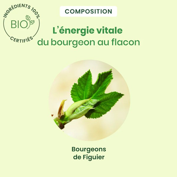 HerbalGem Figuier Concentré de bourgeons frais bio