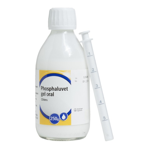 Phosphaluvet gel oral Chien