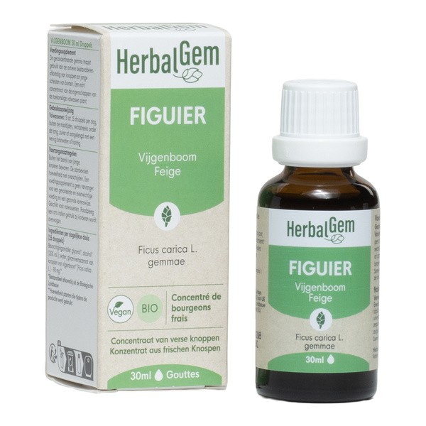 HerbalGem Figuier Concentré de bourgeons frais bio