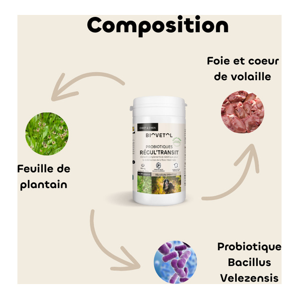 Probiotique chien et chiot Biovetol Régul Transit comprimés