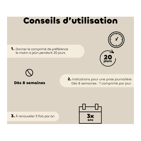 Probiotique chien et chiot Biovetol Régul Transit comprimés