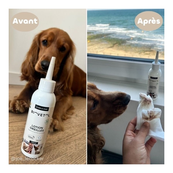 Biovetol Lotion oreilles chien et chat