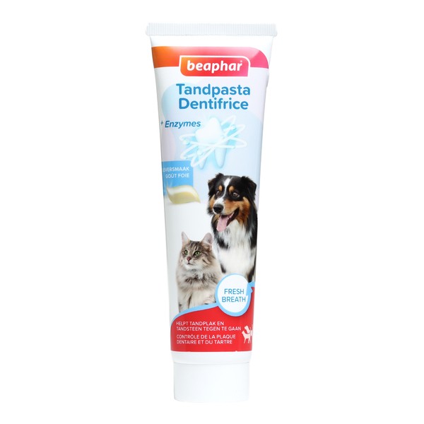 Beaphar Brosse à dents et dentifrice Chien Chat