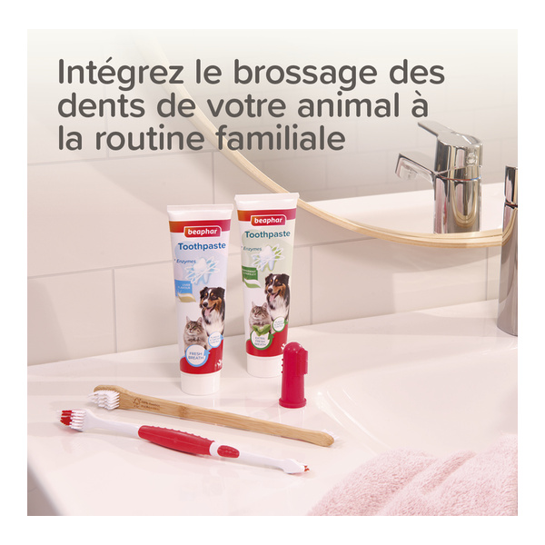 Beaphar Kit dentaire chiot
