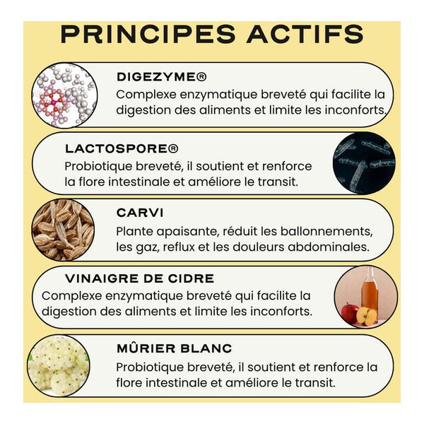 Circles 5 Day Digest+ gélule