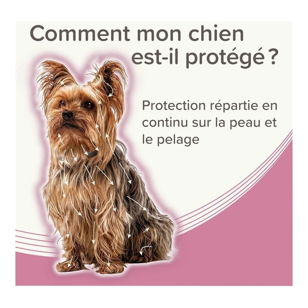 Collier anti puce chien Beaphar
