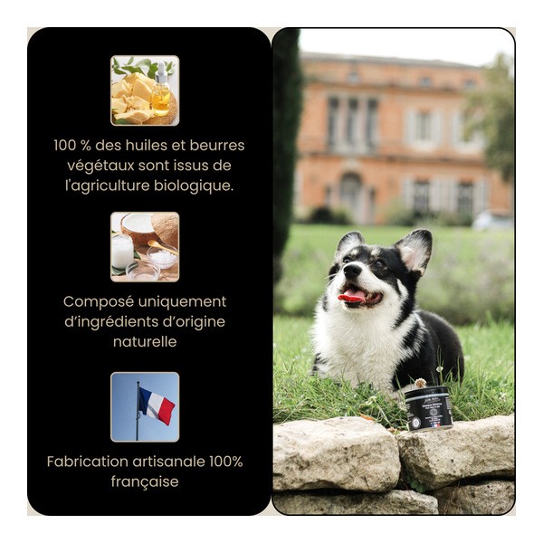 Bella Bestia Masque Kératine chien et chat