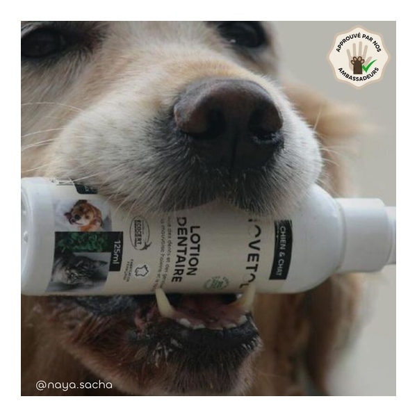 Biovetol Lotion dentaire chien et chat