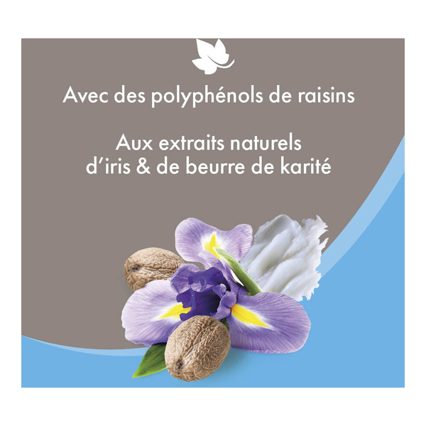 Beaphar spray ultra démêlant chien et chat