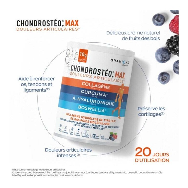 Chondrostéo+ Max Articulations poudre