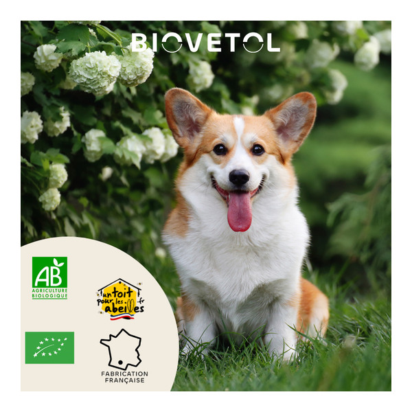 Biovetol bouchées Alt Vers Chien bio