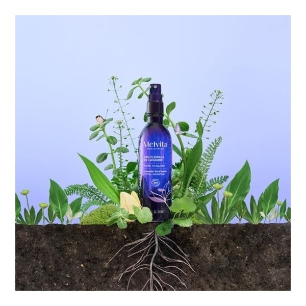 Melvita Eau florale de lavande bio