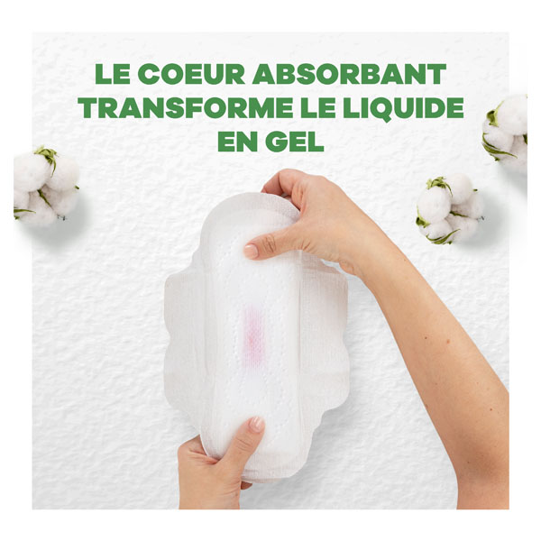 Always Cotton Protection Serviette Hygiénique Nuit Bio