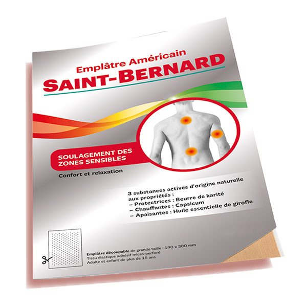 Saint Bernard emplâtre américain