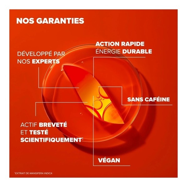 Azinc Expert Fatigue intense Epuisement comprimés