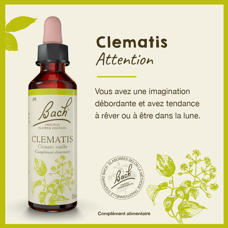 Fleurs de Bach Clematis n°9